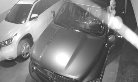 Lynn Haven Vehicle Burglary Suspects