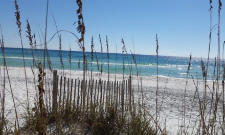 Grayton Beach State Park #4 in Dr. Beach America’s Best Beaches 2017