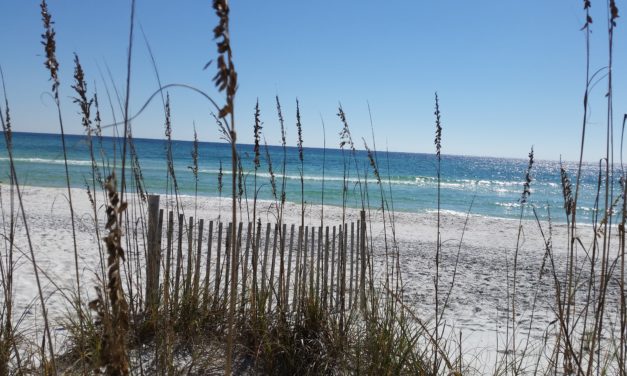 Grayton Beach State Park #4 in Dr. Beach America’s Best Beaches 2017