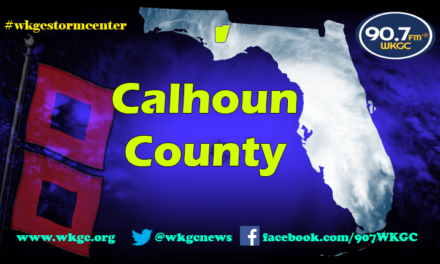 Recovery at a Glance – Calhoun County