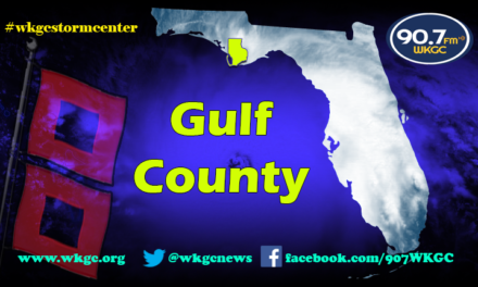 Recovery at a Glance – Gulf County