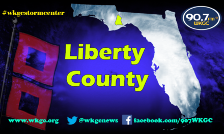 Recovery at a Glance – Liberty County