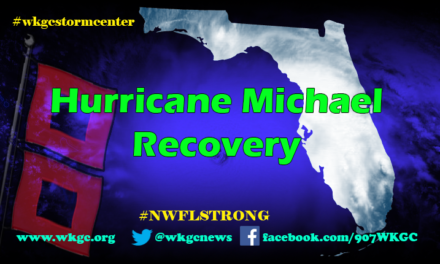 Hurricane Michael Recovery Information
