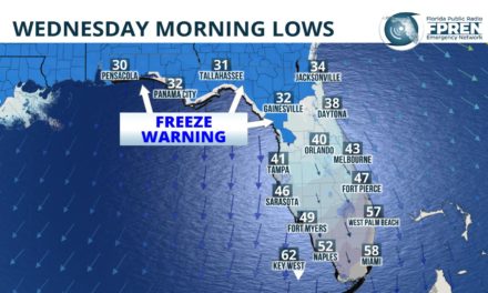 A Late-Season Freeze and Frigid Wind Chills Expected Tonight in Florida