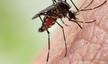 West Nile Virus Human Case Confirmed In Bay County