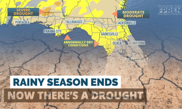 Florida’s Rainy Season Ends Early, and Now There’s a Drought