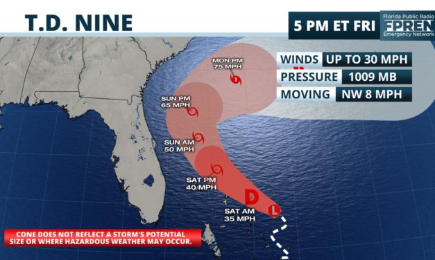 Tropical Depression Nine forms