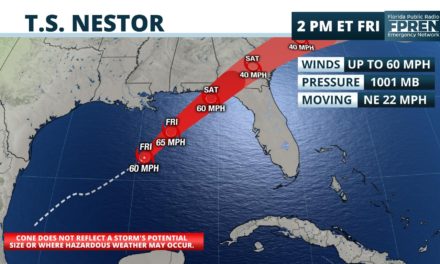 Disturbance in Gulf Becomes Tropical Storm Nestor