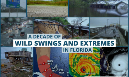 It Was a Decade of Wild Swings and Weather Extremes in Florida