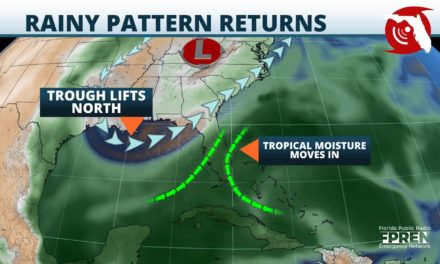 Typical Rainy Season Pattern is Returning to Florida
