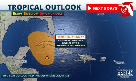Tropical Disturbance In Caribbean Showing Signs Of Development