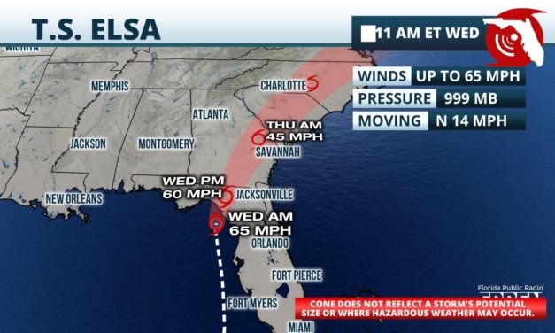Elsa Makes Landfall In Florida’s Big Bend