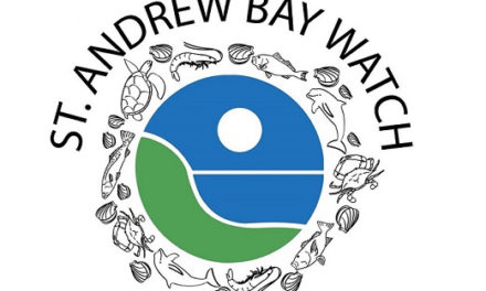 St. Andrew Bay Watch Looking for Volunteers