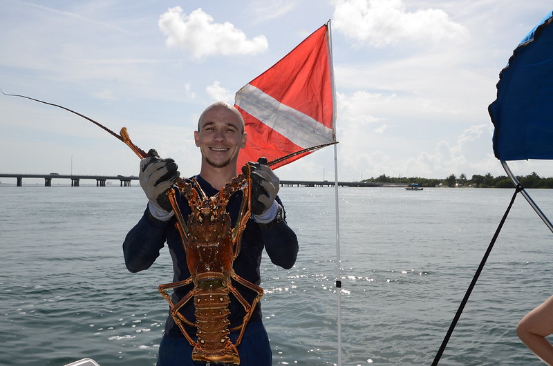 Get Ready for the Exciting 2023 Spiny Lobster Season in Florida! - WKGC  Public Radio