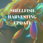 Shellfish Harvesting Area Update