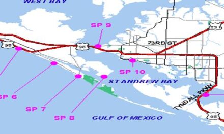 Bay Healthy Beaches Monitoring Program Results