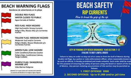 Beach Safety