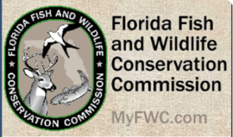 14 New Sites Added to the Great Florida Birding and Wildlife Trail