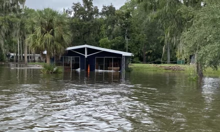 2 Weeks Later, Cleanup Underway in Levy County After Idalia