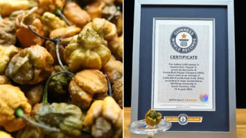 Pepper X: The World's Hottest Pepper - 90.7 WKGC Public Media