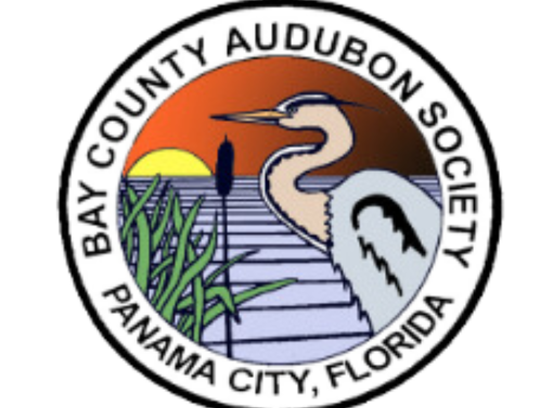 Panama City Arts Center Unveils December Exhibits