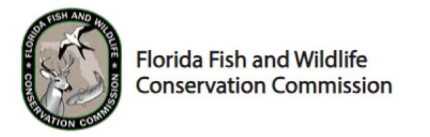 The Record-Breaking Success of Great Outdoors Initiative