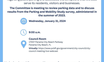 Front Beach Road Parking Survey: Unveiling Results