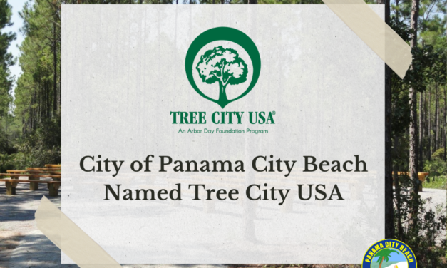 Panama City Beach Earns 2023 Tree City USA Designation