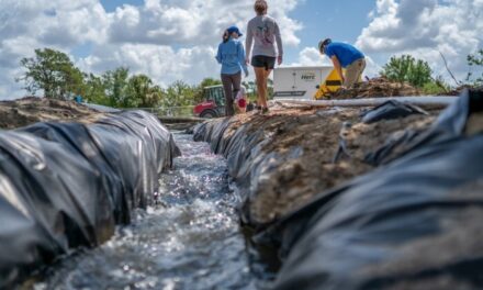 Revitalizing Warm Mineral Springs