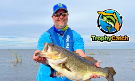 Florida’s Pink Surprise: TrophyCatch Program