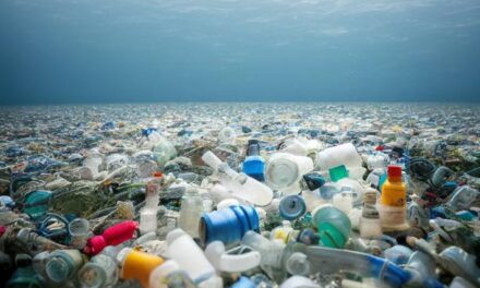 Plastic Plague: Chemicals Costing US Healthcare System $250 Billion a Year