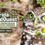 Unlock Florida’s Wild Side: WildQuest Adventure!