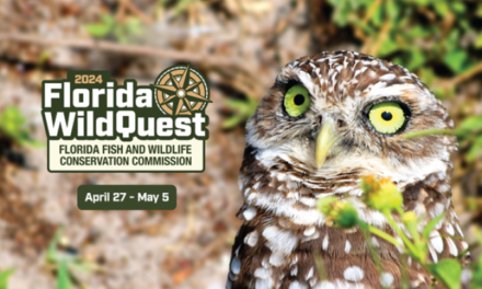 Unlock Florida’s Wild Side: WildQuest Adventure!