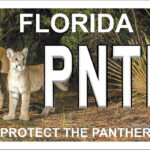Protect the Panther License Plate