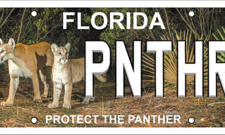 Protect the Panther License Plate