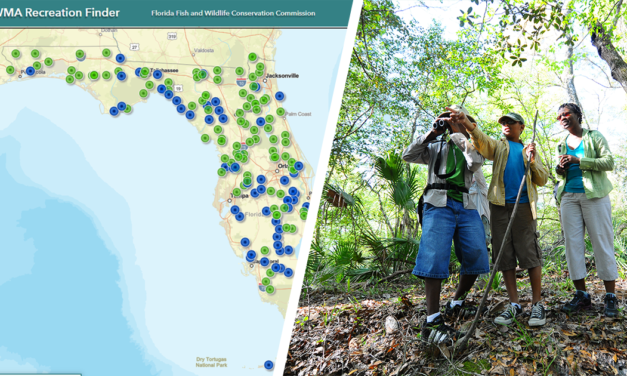 FWC’s WMA Recreation Finder Unveiled!