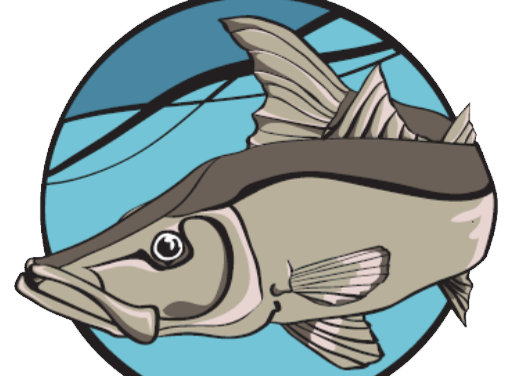 Florida Anglers Smash Records!