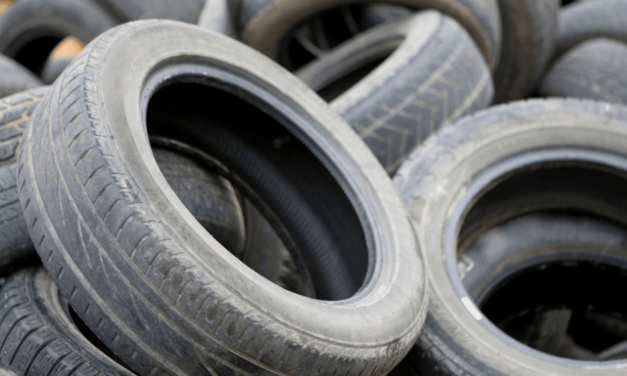 Bay County Waste Amnesty Days