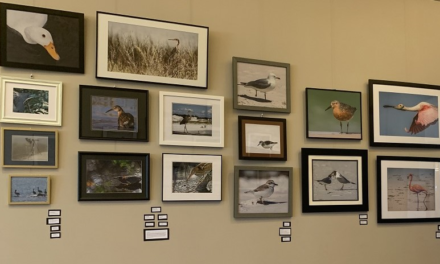Wings of Wonder: Audubon Exhibit