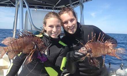 10th Annual Lionfish Festival