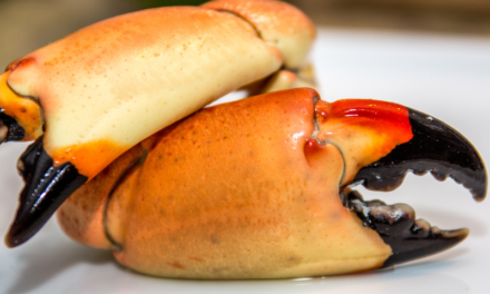 Stone Crab Season Ending