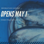 Florida Reef Fish Opening May 1