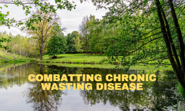 Combatting Chronic Wasting Disease