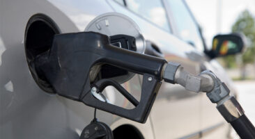 Stable Gas Prices Bring Relief”