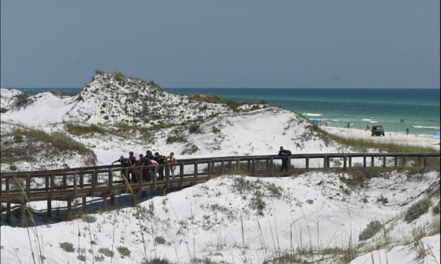 Two shark attacks reported along Walton County Beaches, within hours of each other.