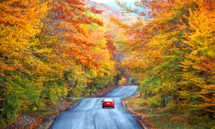 Fall Begins with Falling Gas Prices